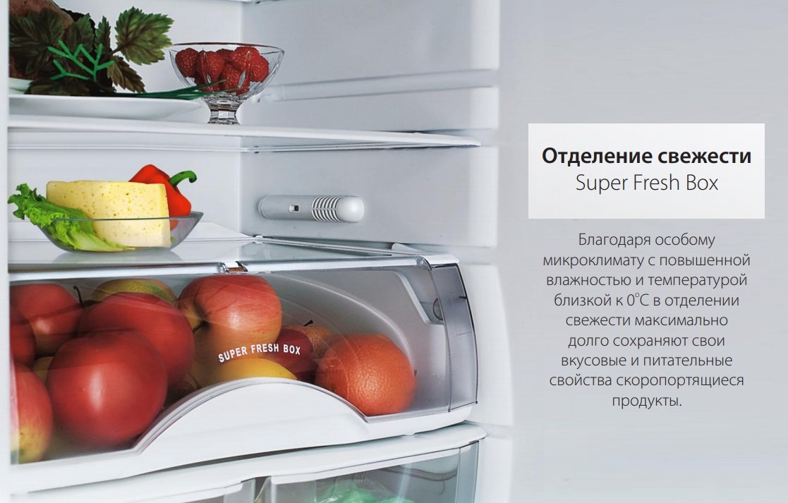 Холодильник атлант ноу фрост цена
